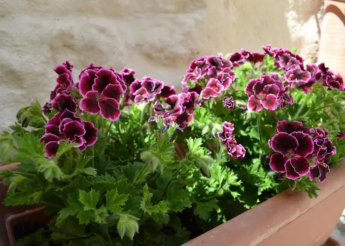 L'eremo Del Cardinale Vacation In The Sassi 펜션 *